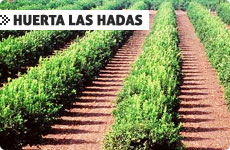 Huerta Las Hadas